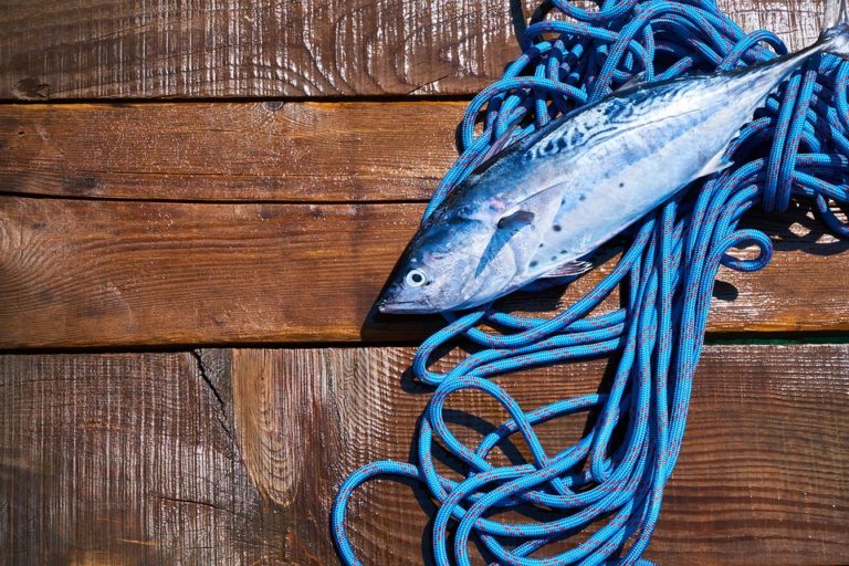 Omega 3 pesce Franco ristorante Palermo