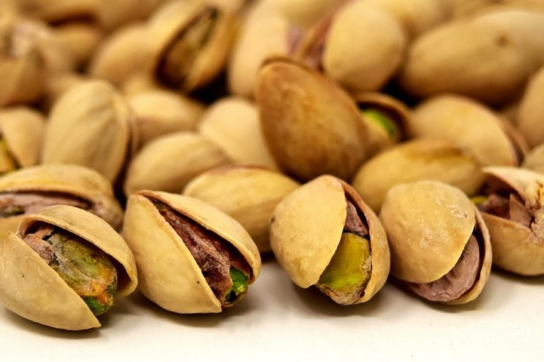 pistacchio