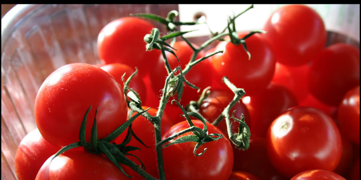 Pomodoro Pachino