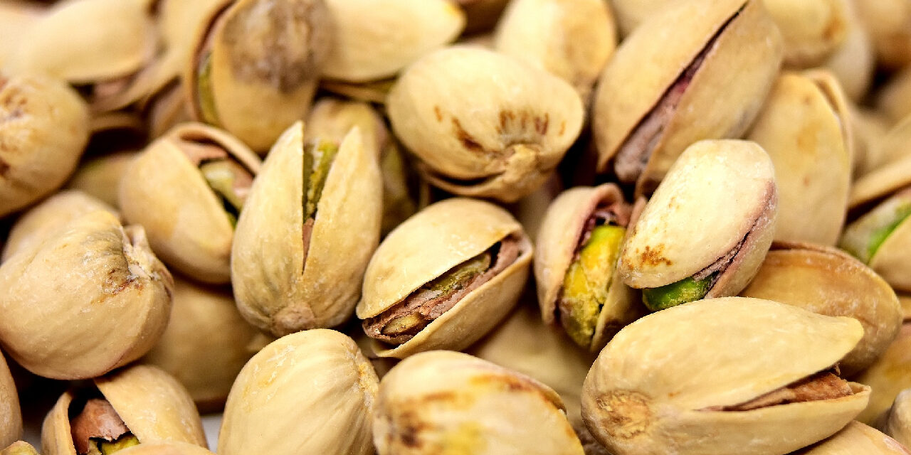 slow food pistacchio di Bronte