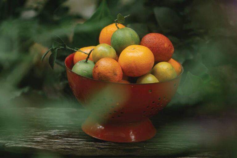 prodotti di stagione